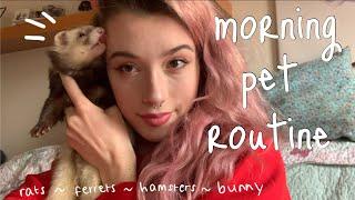 morning routine with ALL my PETS! *feeding, cleaning out, etc* 