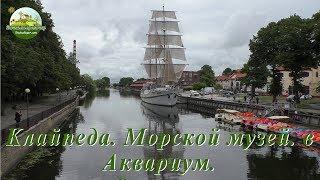 Клайпеда. Морской музей. Аквариум.