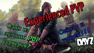 Обзор на сервер Experienced PVP!!! Один из лучший PVP серверов??? DayZ