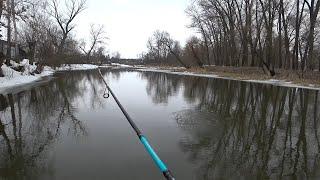 Caught a Pike Hotspot. Didn't Expect Such a Good Bite. Spinning in March.