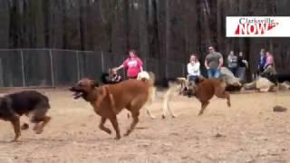 The Heritage Bark Park is a great option for cold months