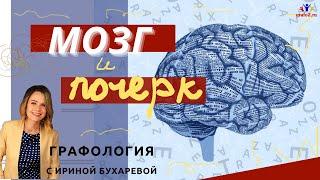 МОЗГ И ПОЧЕРК | Эксперт-графолог Ирина Бухарева