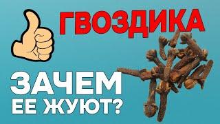 Зачем Жевать Гвоздику по 2 бутона в день? ГВОЗДИКА - польза и вред для организма.