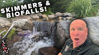 Skimmers and Biofalls: Pond Filtration Explained