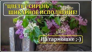 Цветет сирень ГАРМОНЬ