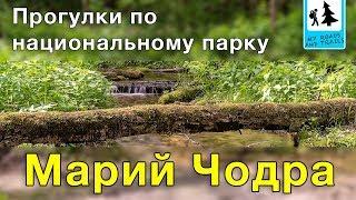 Марий Чодра. Прогулки по достопримечательностям и озерам национального парка (23-24 июня 2018 года)