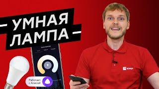 Умная лампа EKF. Управление светом по Wi-Fi.