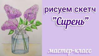 Скетч "Сирень" - рисуем цветными карандашами и ручкой