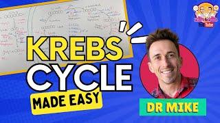 Krebs Cycle | Made Easy!