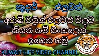 Let's learn Arabic words for vegetables in Sinhala/එලවළු