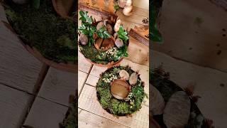 Schnelle, natürliche und einfache Weihnachtsdeko mit den Tannen-Tellern aus dem Mrs Greenery Shop