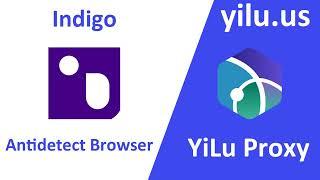 How to use Indigo browser with YiLu Proxy - yilu.us