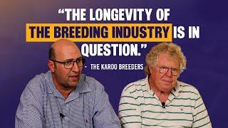 In The Box Seat with the Karoo Breeders
