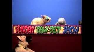 Funday Pawpet Show - Todd Dares to be Stupid