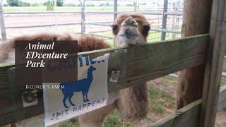 Animal EDventure Park at Bedner's Farm.