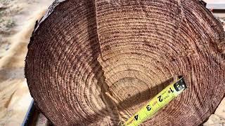 Restocking , Turning Logs Into Lumber With The Sawmill.