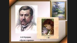 Литература_7 класс_А.И. Куприн_Куст сирени