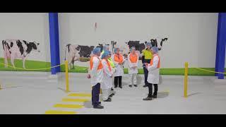 The Union Dairy Company Corporate Video