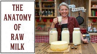 WHAT TO DO WITH RAW MILK ONCE IT'S IN YOUR KITCHEN?