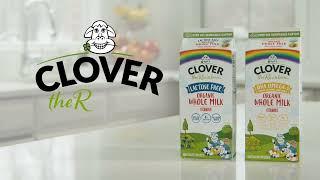 Clover the Rainbow Milk