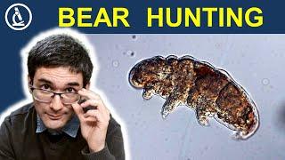 How I found WATER BEARS where there is no water  242