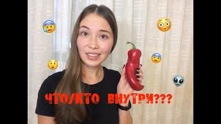 ШОК!!! Такого вы еще НЕ ВИДЕЛИ!!! [КТО ВНУТРИ?]