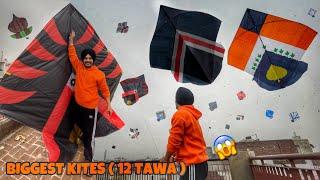 Flying Kites On Sunday  *12 TAWA* Patangbazi | Kite Vlog