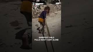 Watch: Little Gaza Girl Dragging Supplies in Viral Video Sparks Child Survival Concerns | N18G