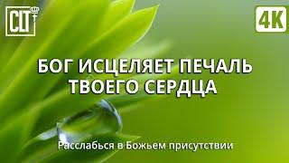 Исцеление ️‍🩹 сердца через принятие Слова | Звук дождя и пение птиц | Смотри тайм-коды | Relaxing