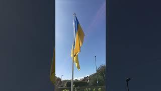 Havant city Azov Flag