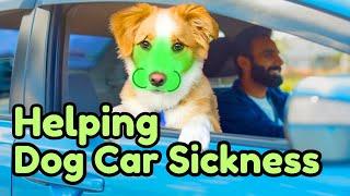 Step-by-Step Guide To Stop Car Sickness - Dog Training Video