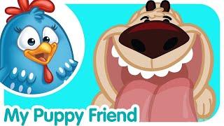 Pet Songs: Puppies | Lottie Dottie Chicken | Nursery Rhymes For Kids