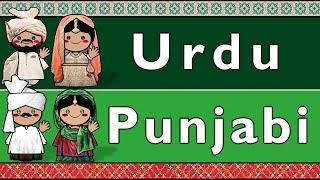 INDO-ARYAN: URDU & SHAHMUKHI PUNJABI