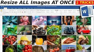 How to Resize Multiple Images AT ONCE in MS Word - Microsoft Word Tutorial