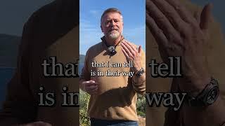 HSPs Are Born Facilitators | Here’s Why You Must Trust That