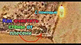 Плесень стен (mold on walls). Чем вывести навсегда.