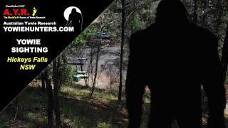 Yowie / Bigfoot Sighting (Audio Report #159), at Hickeys Falls near Coonabarabran NSW