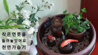 SUB) 작은 연못을 들여놓았어요 | 이조전통옹기 천연가습기 만들기 traditional pottery natural pond DIY