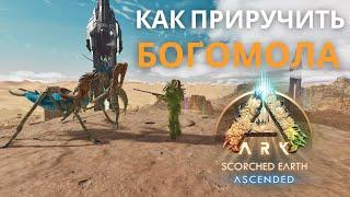 Секретная способность богомола или гайд как приручить богомола в Ark: Survival Ascended