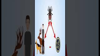 Emerging Infectious Diseases | Infectious Diseases Conferences |