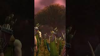 Enchanted Forest | High Elf | WoW