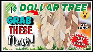  DOLLAR TREE Haul Items JUST HIT the Shelves! NEW Finds Never Seen Before! PLUS Price Increase FYI