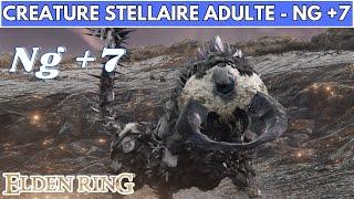 ELDEN RING BOSS : CRÉATURE STELLAIRE ADULTE NG +7 - FULL FIGHT / COMBAT