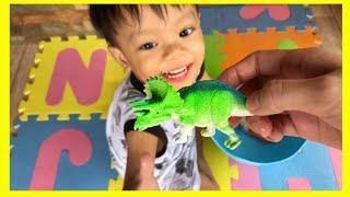 Naming Animals & Dinosaurs | Whale | Tortoise | Hammerhead Shark | Ankylosaurus | Triceratops
