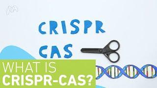 What is CRISPR-Cas?