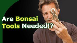 Which Bonsai Tools Should You Have?