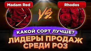 Madam Red и Rhodos 50 см | Плантации Baraka и PJ Dave Flowers | Эквадор и Кения | Цветы оптом