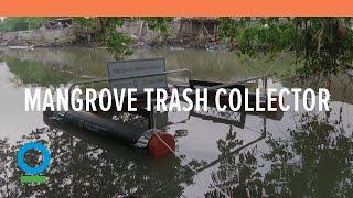 Mangrove Trash Collector