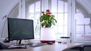 AIRY Highly effective air purification through plants in AIRY plant pots - biofilters