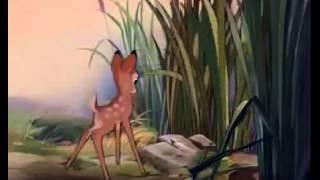 Bambi meets faline